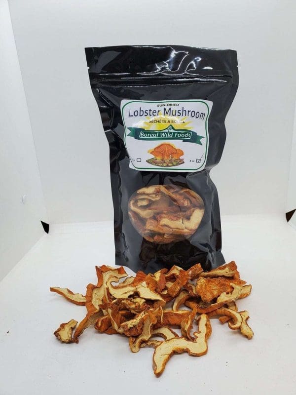 Buy Dried Lobster Mushroom Lobster Tail Mushroom Fiddlehead Heaven