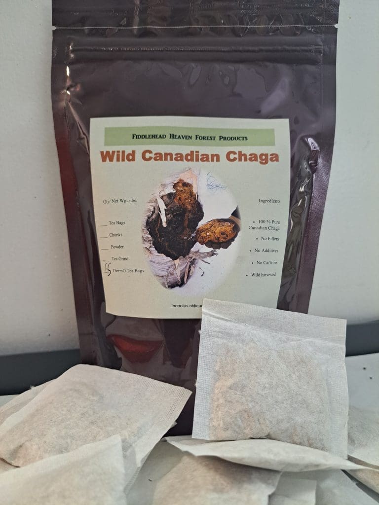 Chaga Thermo Tea Bags