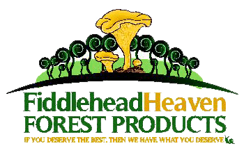 Fiddlehead Heaven Forest Products
